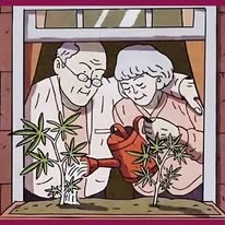 Cannabis-Anbauanleitung