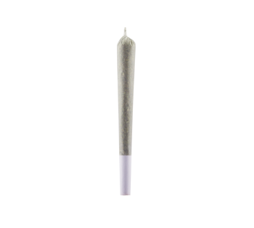 1g Premium CBD 6% Pre-Roll Dutch Mix