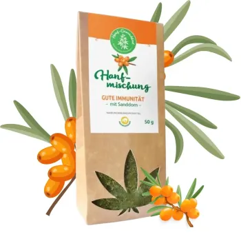 Bio Hanftee Gute Immunität | 50g