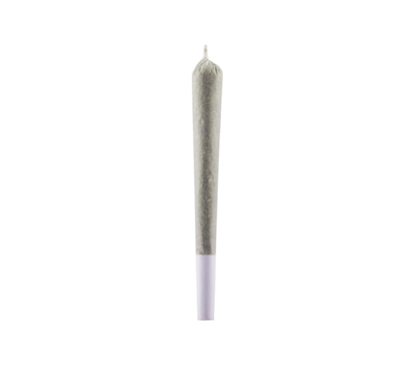 1g Premium CBD 6% Pre-Roll Dutch Mix