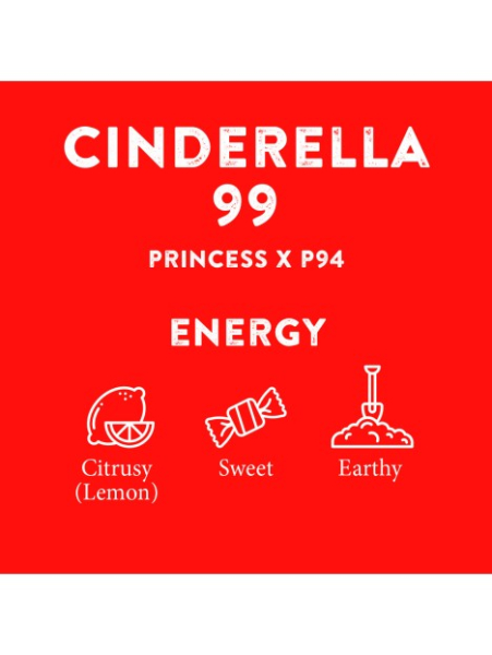 Terpen Öl CR – Hanföl mit natürlichem Terpenprofil | 10ml