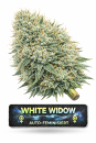 White Widow | 3 Cannabis Samen