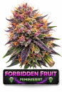 Forbidden Fruit | 3 Cannabis Samen