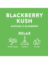 1ml CBD Blackberry Kush Kartusche 91% Cannabinoide | 510er Gewinde
