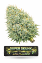 Super Skunk Auto-Feminisiert | 3 Cannabissamen