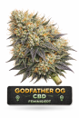 Godfather OG | 3 Cannabis Samen
